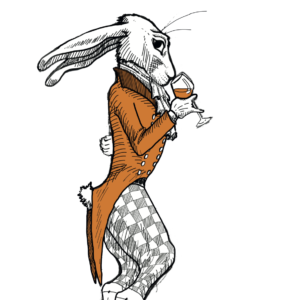 lièvre blanc lièvre blanc