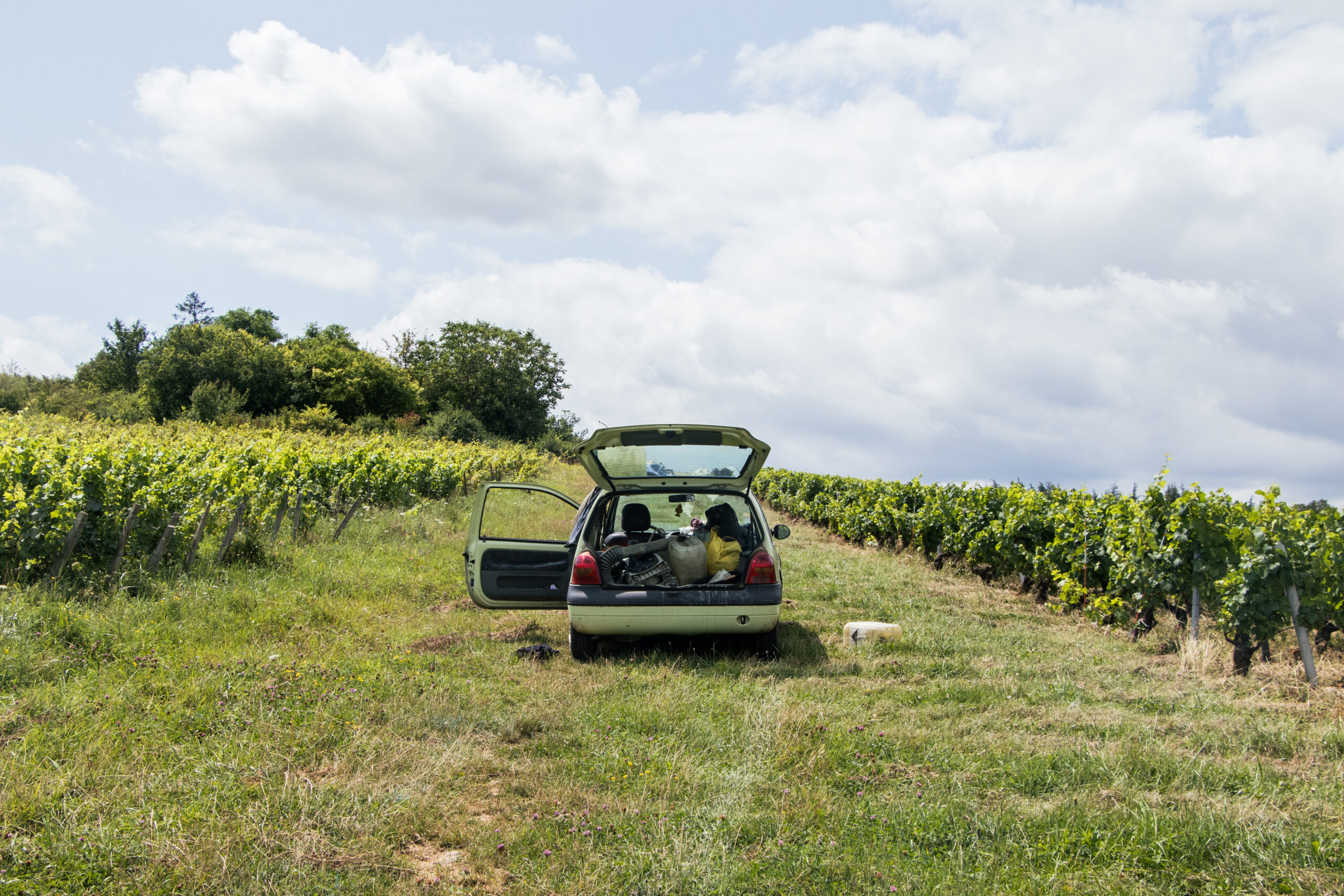 jeanmax_0824_11 twingo verte dans les vignes