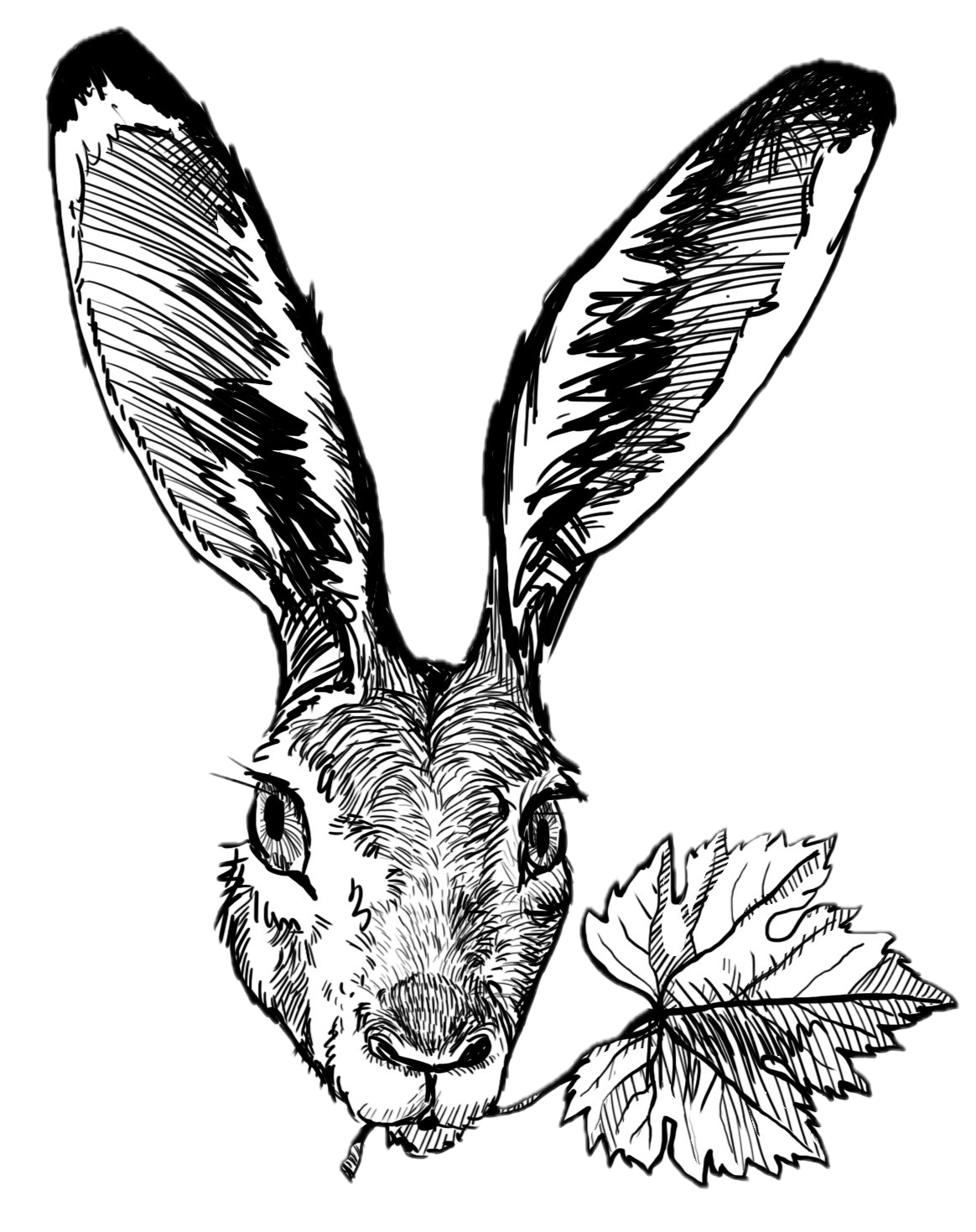 tete et feuille_small tete et feuille_small