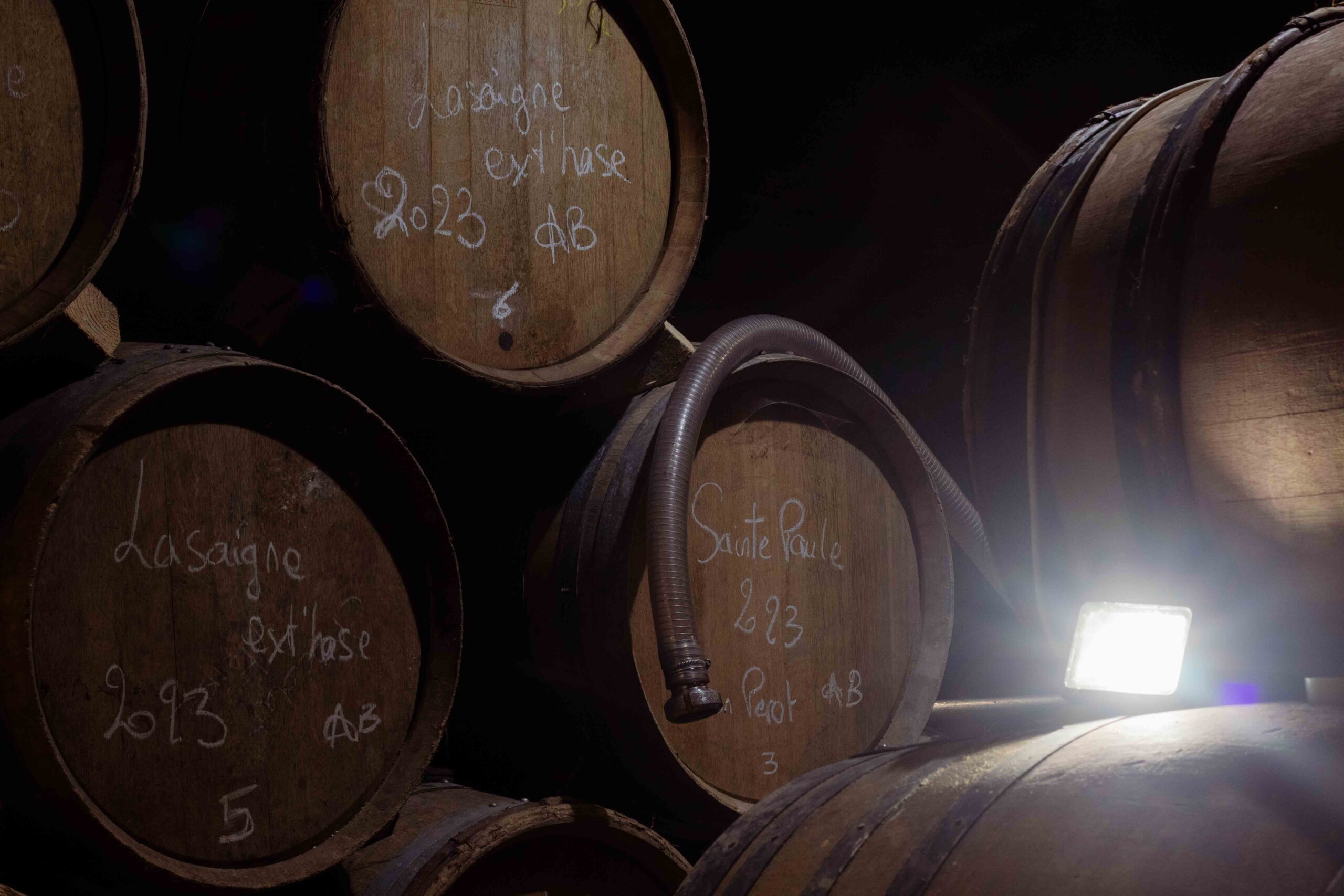 jeanmax 21 jeanmax 21