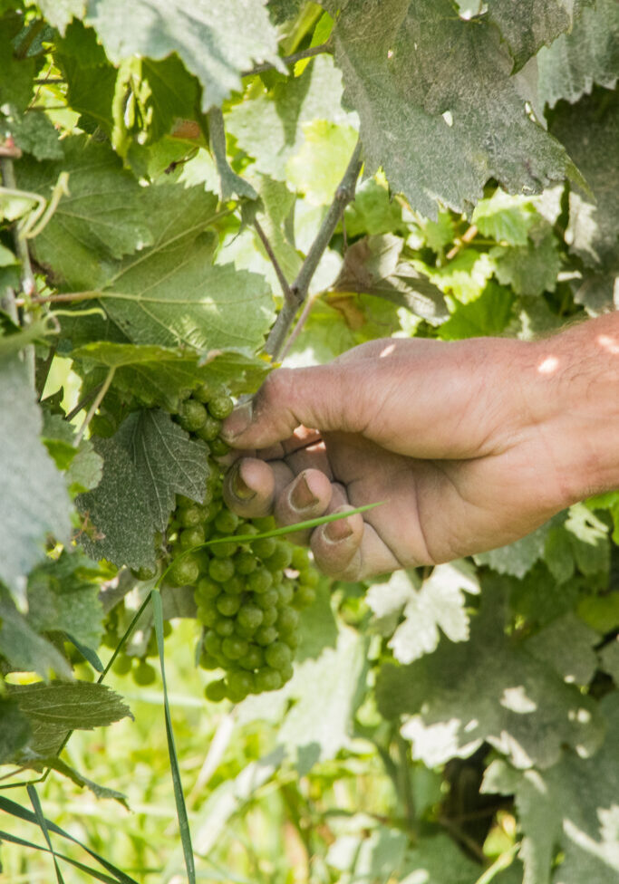 jeanmax_0824_08 jeanmax_0824_08